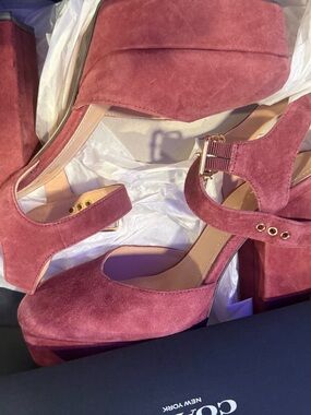 Coach Rose Suede Platform Mary Jane Heels